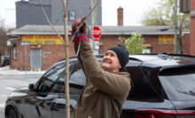 Philly Tree People planting 2025