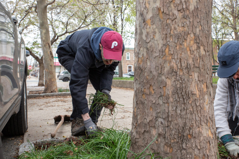 Philly Tree People