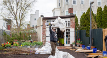 Four Ways Philly can grow its tree canopy