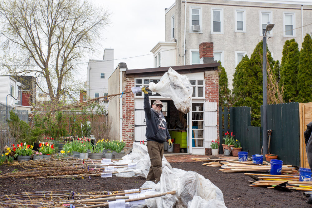 Four Ways Philly can grow its tree canopy