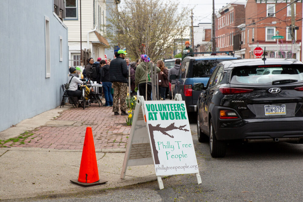 Philly tree people volunteer