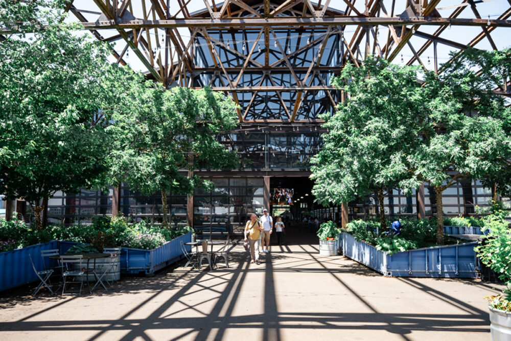 Climate action updates, EPA deregulation, new gardens, & more
