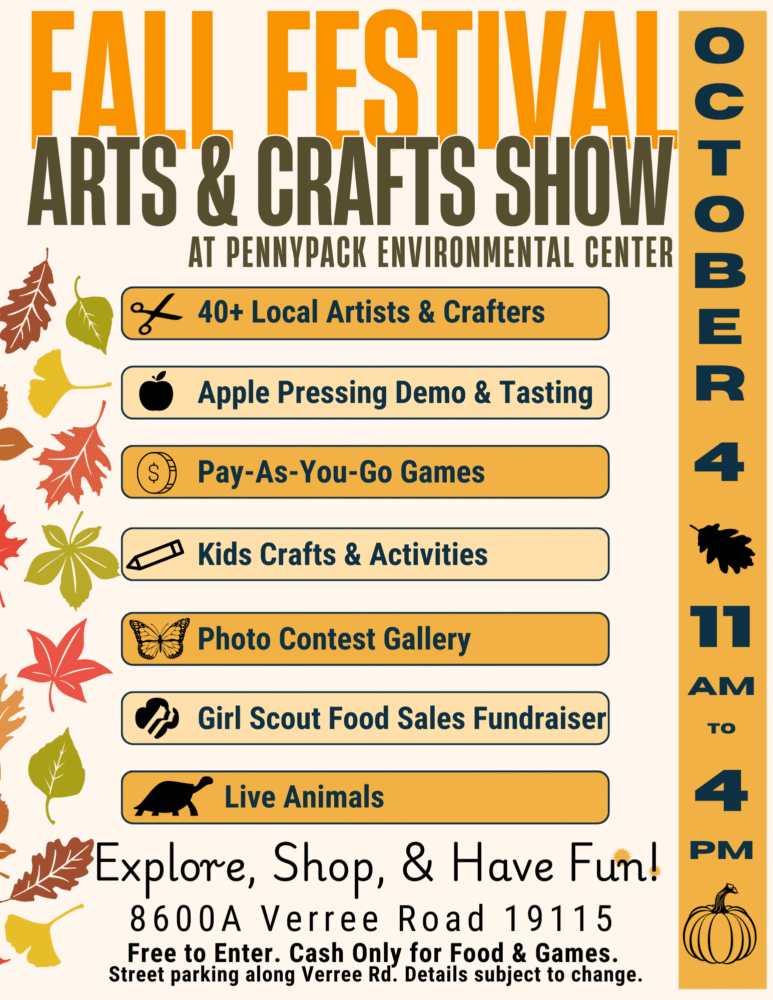 Fall Festival Flyers (3)