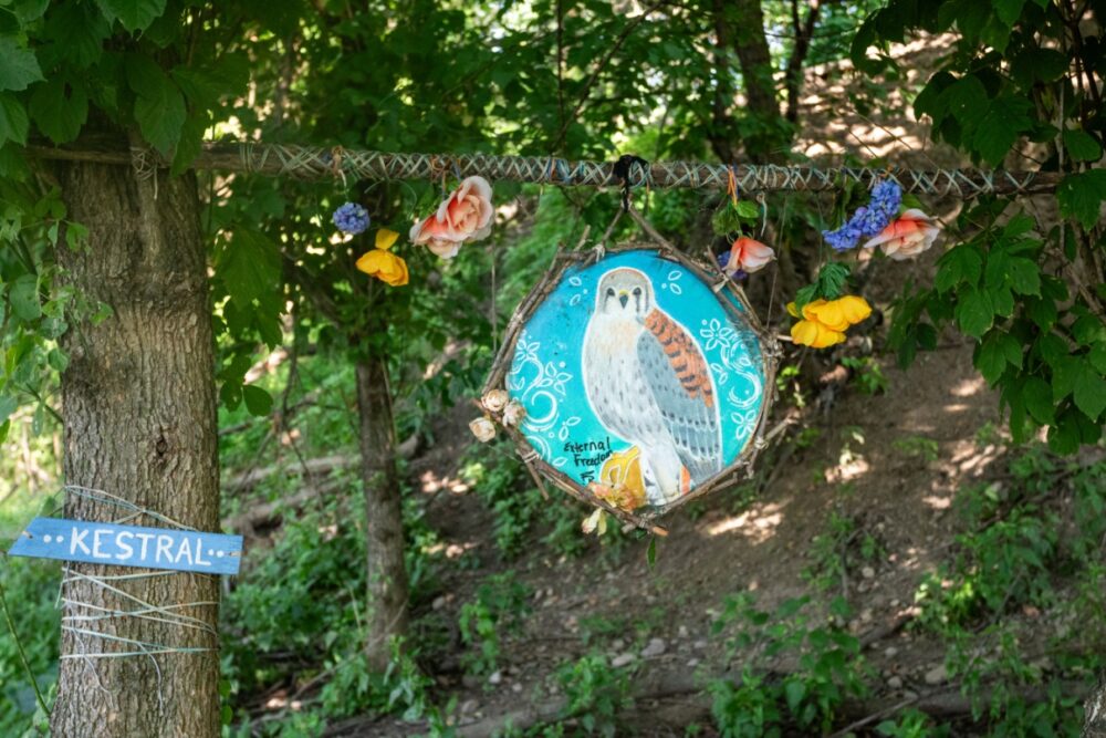 Petty's Island art by Priscilla Rios.