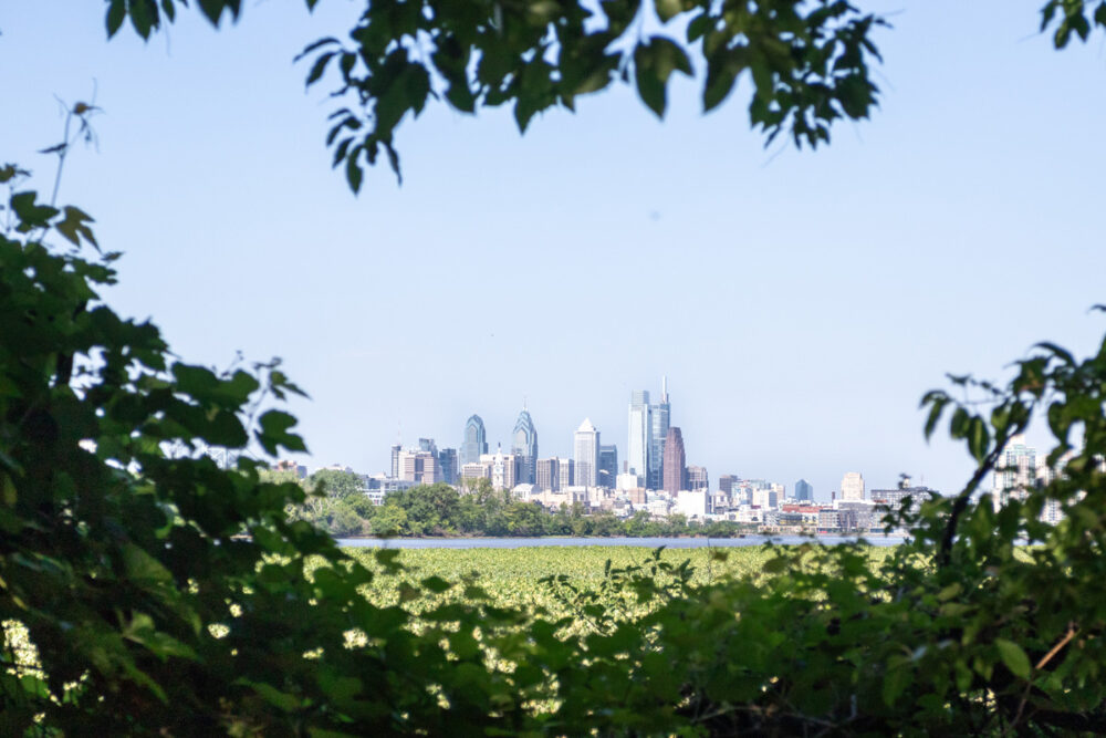 A secret green space in the Delaware River? Meet Petty’s Island