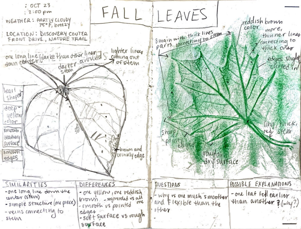 nature journaling