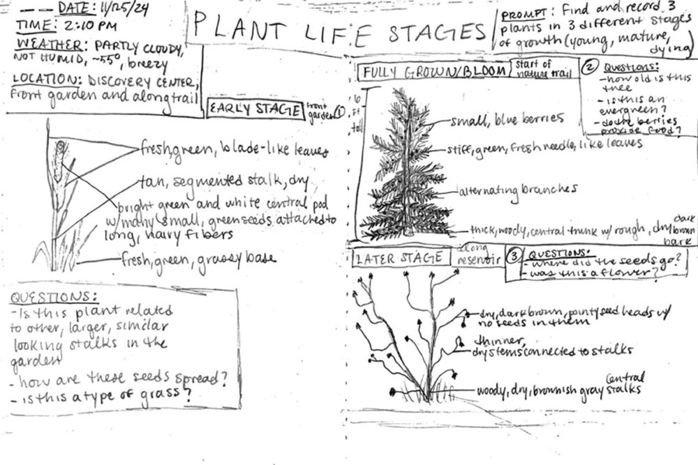 nature journaling