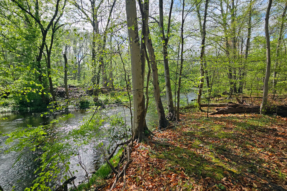 Conservation Manager, Margaret Rohde