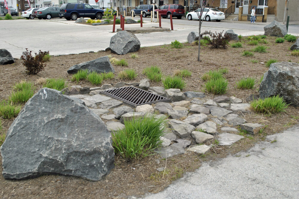 Eco-Explainer: What is a rain garden?