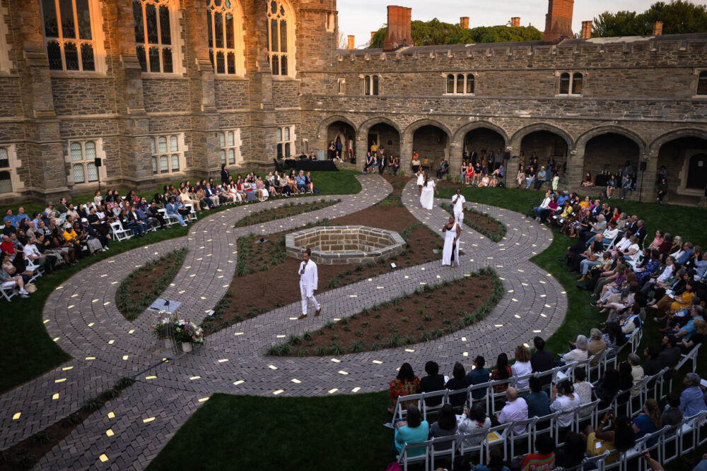 City planning survey, bird songs as art, & more