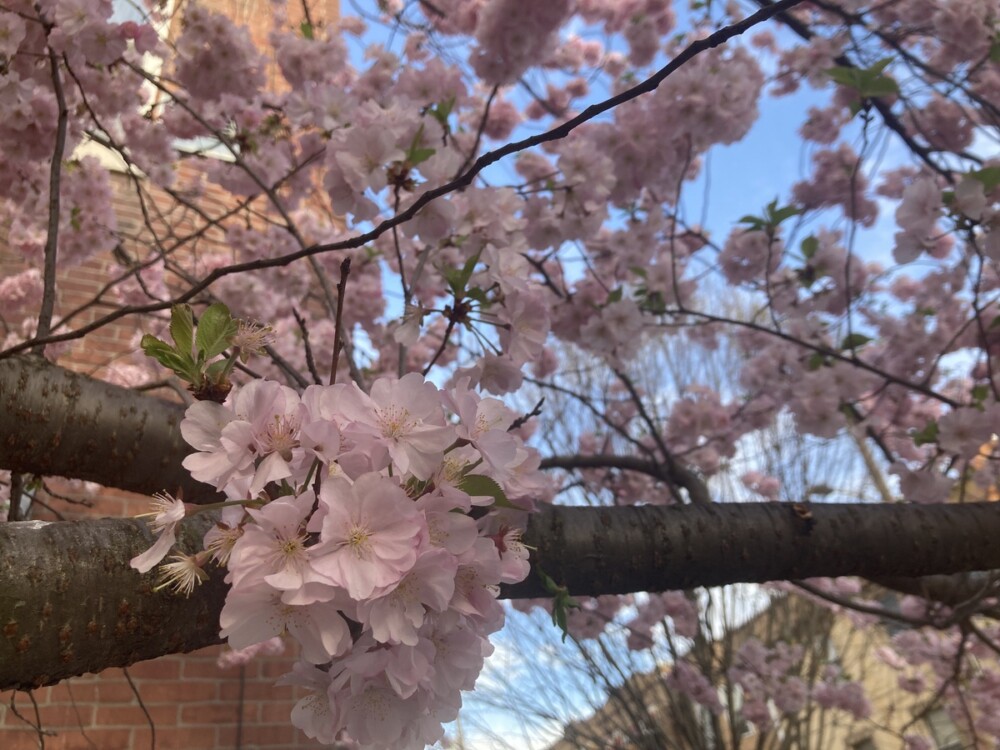 SEPTA real-time arrivals, FDR Park lawsuit, & more