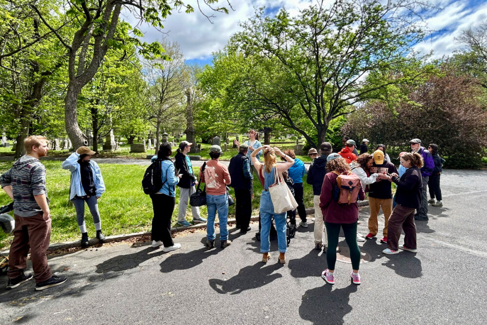 New plant discovered in NJ, 56 years of Earth Day & more