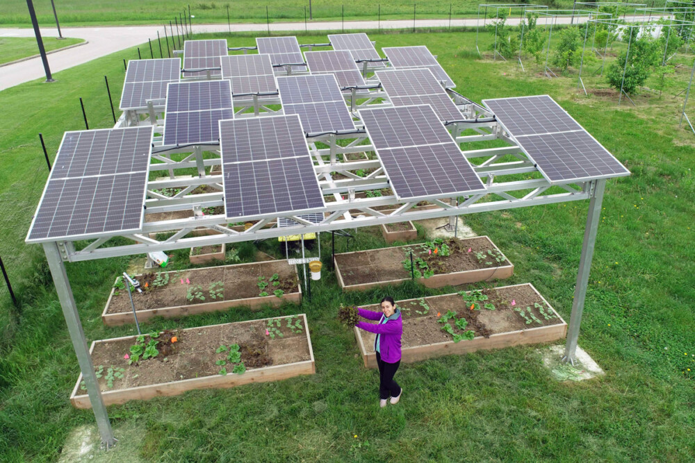 Growing food or energy? Agrivoltaics says Pennsylvania farms can do both