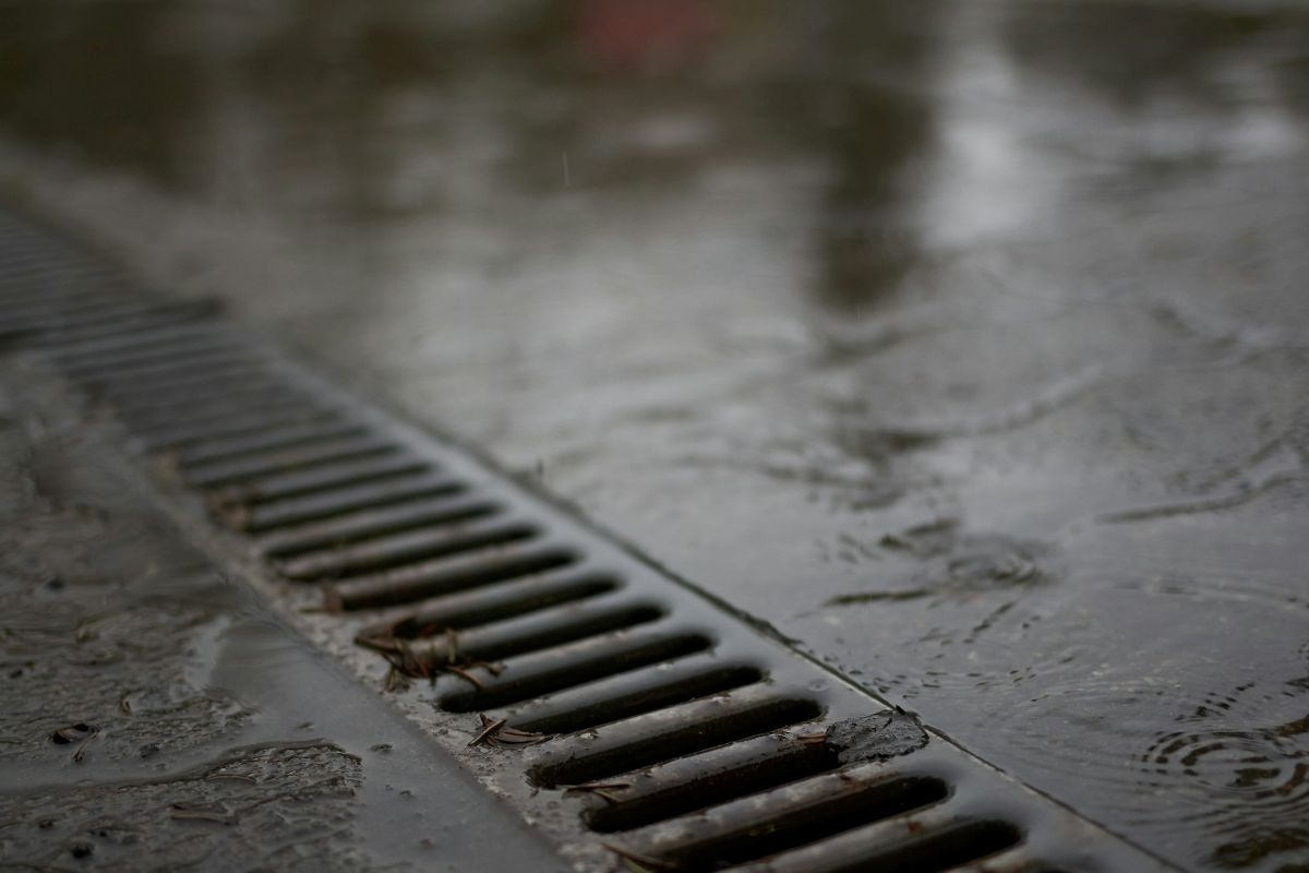 Local greens surge, Storm damage assistance, drain cleaning, & more