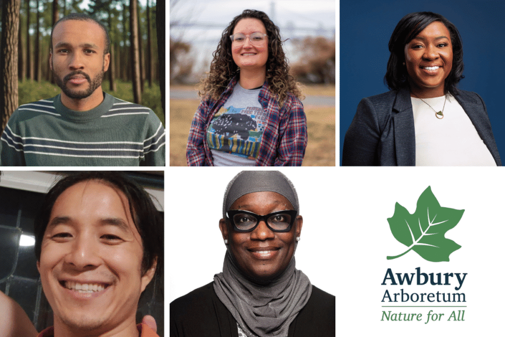Meet 6 people making Philly greener, one neighborhood at a time.
